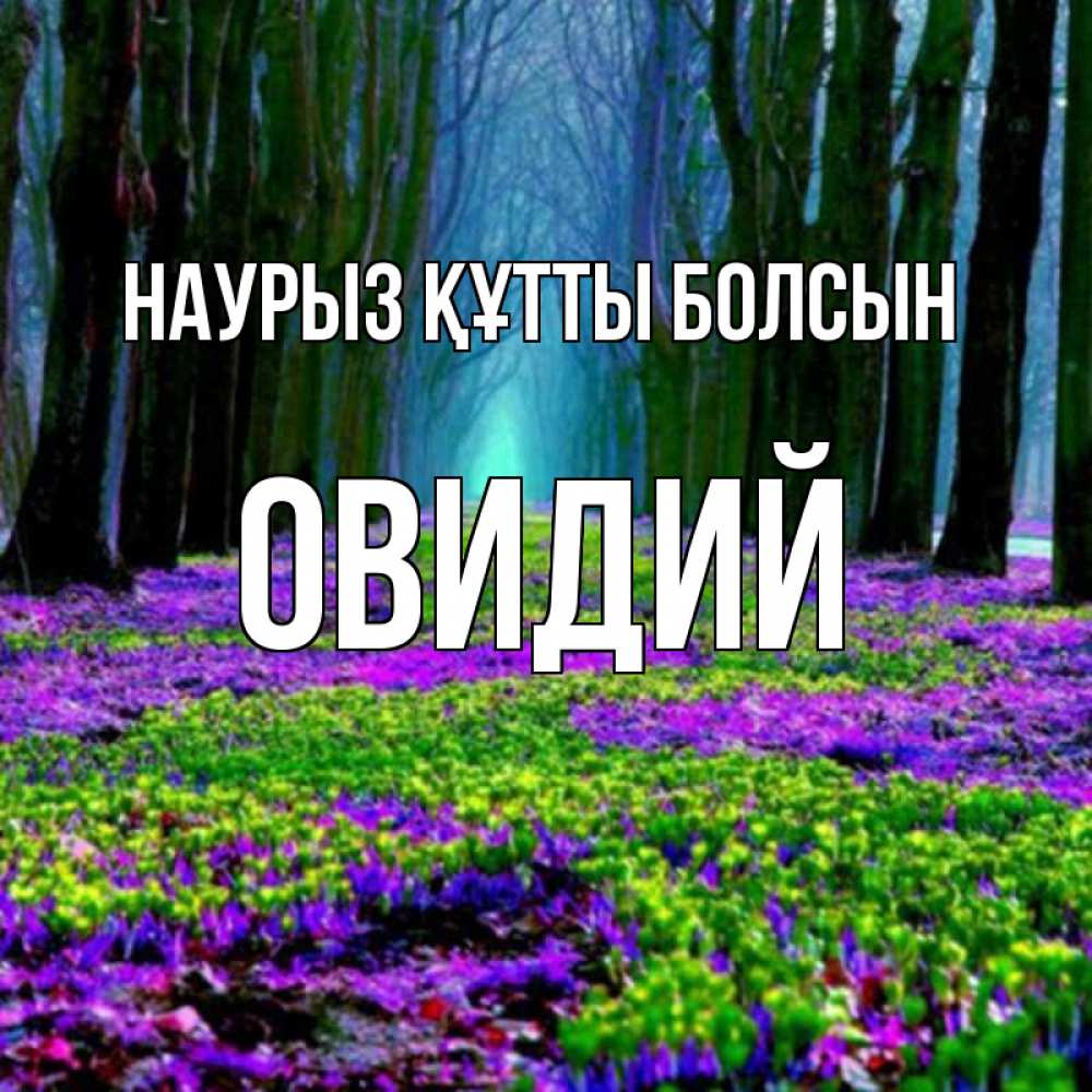 Открытка на каждый день с именем, Овидий Наурыз құтты болсын фиолетовые цветы в лесу 1 Прикольная открытка с пожеланием онлайн скачать бесплатно 