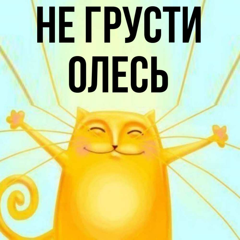 Открытка на каждый день с именем, Олесь Не грусти обнимашки усатые Прикольная открытка с пожеланием онлайн скачать бесплатно 