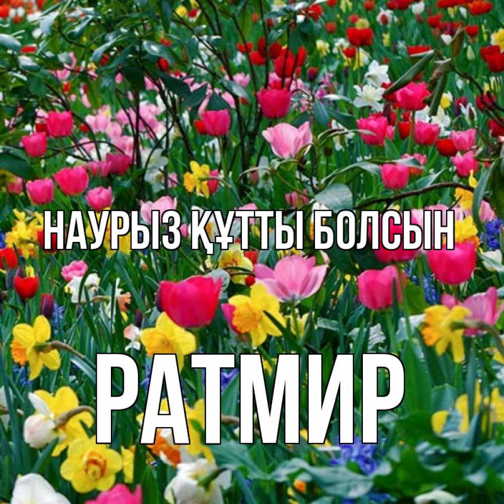 Открытка на каждый день с именем, Ратмир Наурыз құтты болсын с наурызом поздравления для женщины Прикольная открытка с пожеланием онлайн скачать бесплатно 