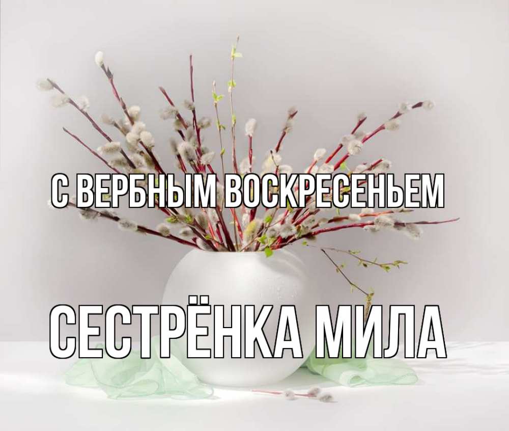 Открытка на каждый день с именем, Сестрёнка-Мила С вербным воскресеньем верба Прикольная открытка с пожеланием онлайн скачать бесплатно 