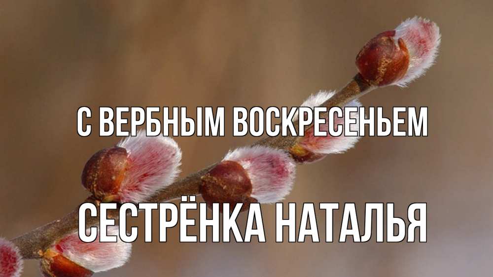 Открытка на каждый день с именем, Сестрёнка-Наталья С вербным воскресеньем верба Прикольная открытка с пожеланием онлайн скачать бесплатно 