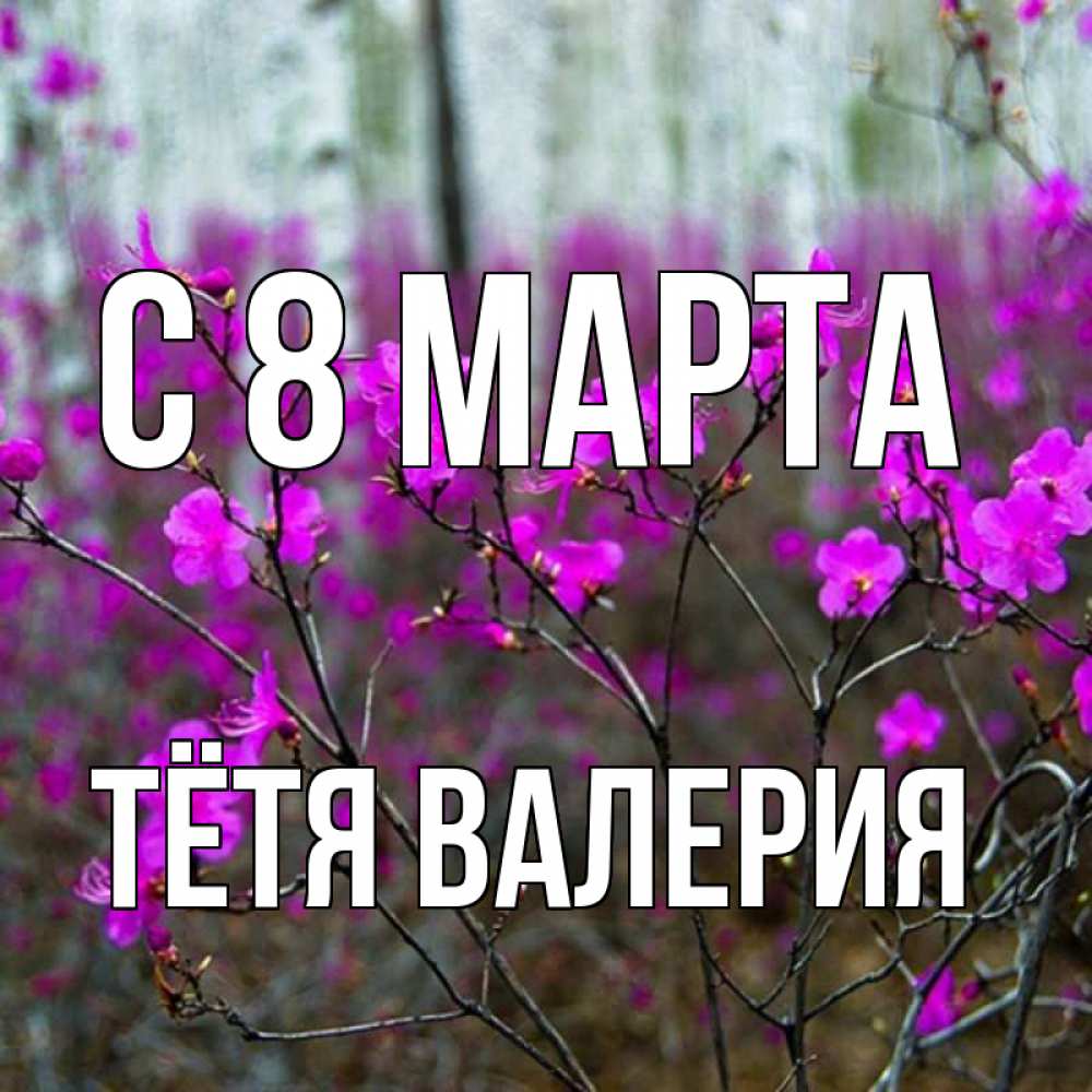Открытка на каждый день с именем, Тётя-Валерия С 8 марта дикие цветы Прикольная открытка с пожеланием онлайн скачать бесплатно 