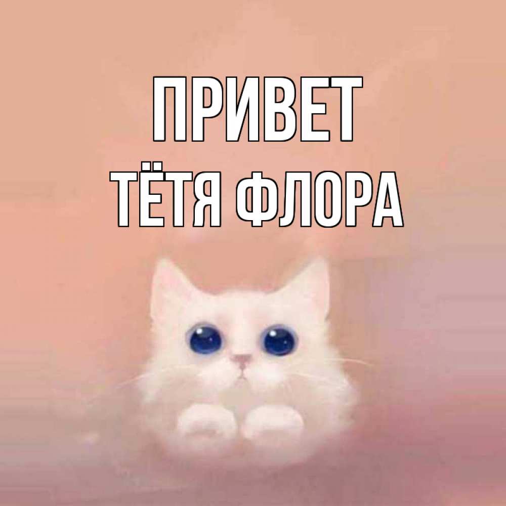Открытка на каждый день с именем, Тётя-Флора Привет котик белый в полете Прикольная открытка с пожеланием онлайн скачать бесплатно 