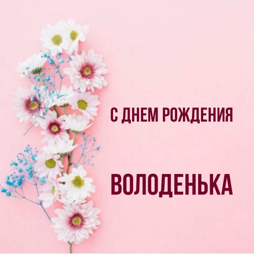 С днем рождения володенька картинки