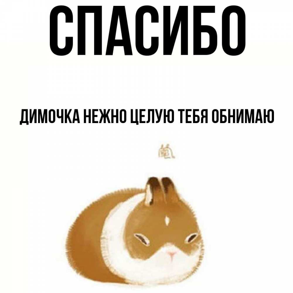 Спасибо димочка картинки