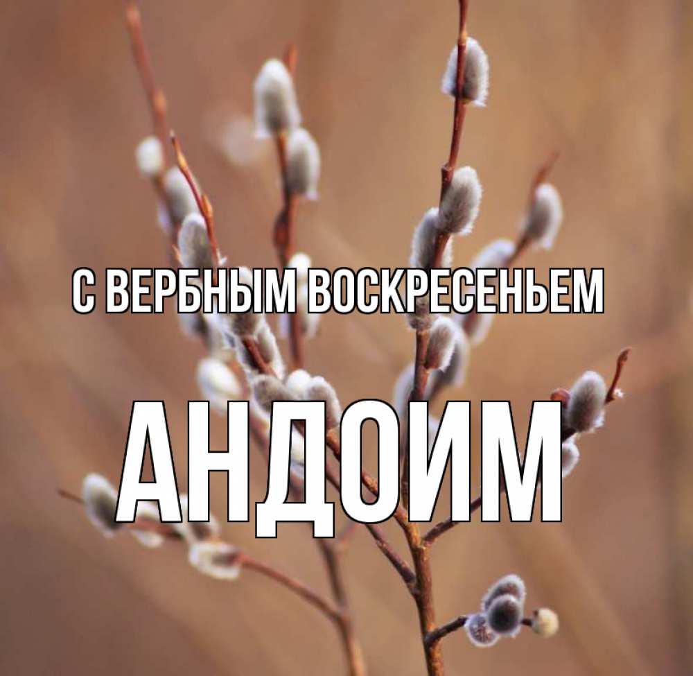 Открытка на каждый день с именем, Андоим С вербным воскресеньем верба Прикольная открытка с пожеланием онлайн скачать бесплатно 