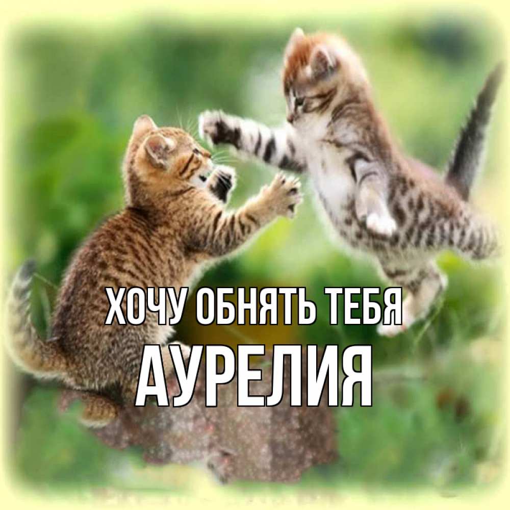 Открытка на каждый день с именем, Аурелия Хочу обнять тебя игры котят Прикольная открытка с пожеланием онлайн скачать бесплатно 