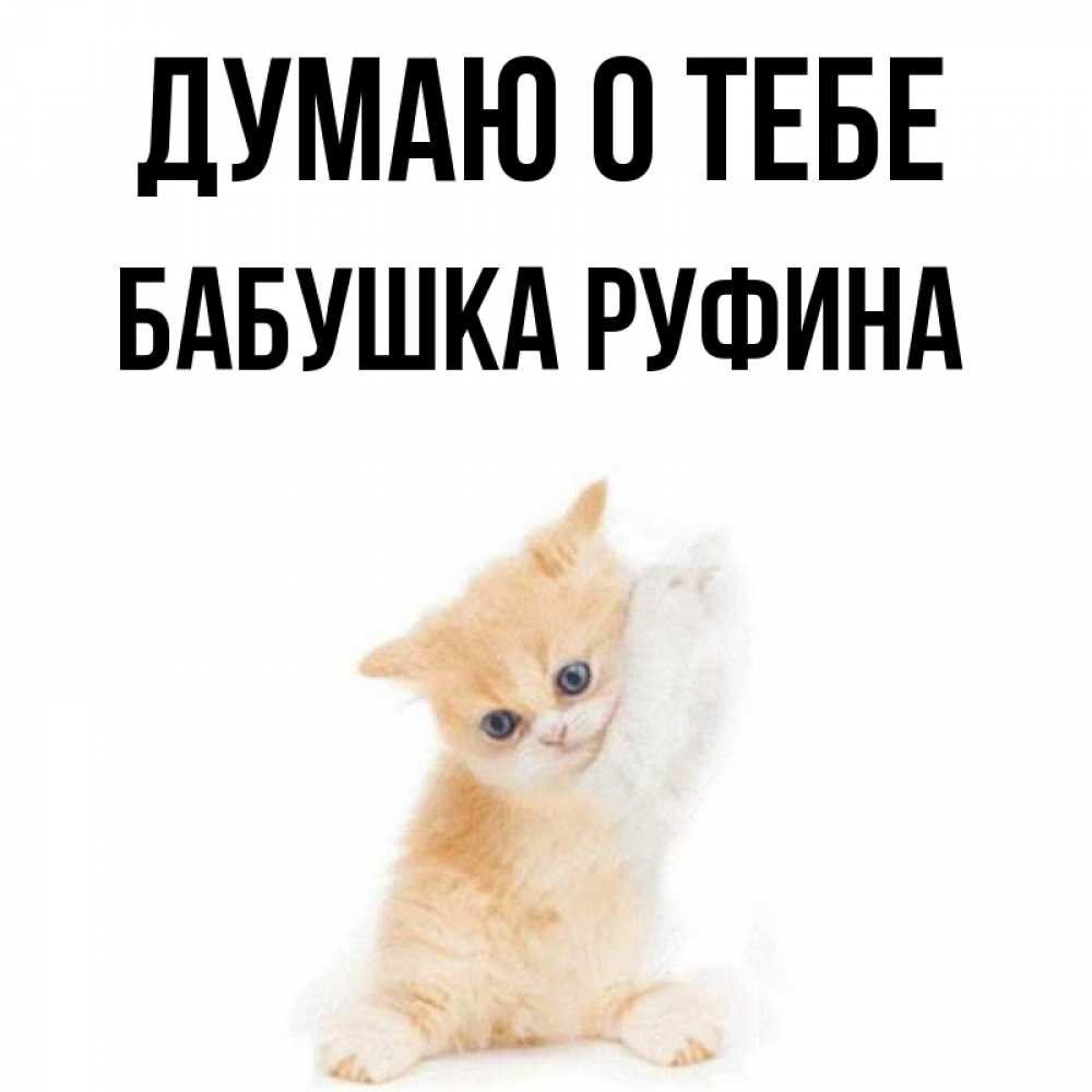 Открытка на каждый день с именем, Бабушка-Руфина Думаю о тебе зверушки и милота Прикольная открытка с пожеланием онлайн скачать бесплатно 