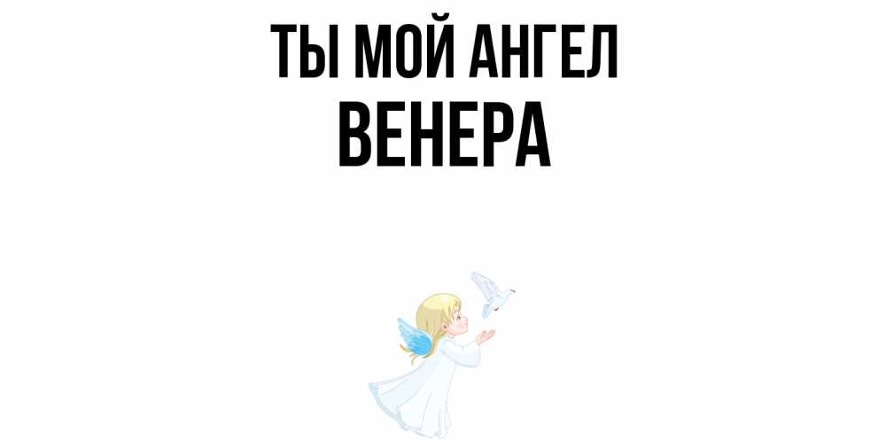 Открытка на каждый день с именем, Венера Ты мой ангел ангел, голубь Прикольная открытка с пожеланием онлайн скачать бесплатно 