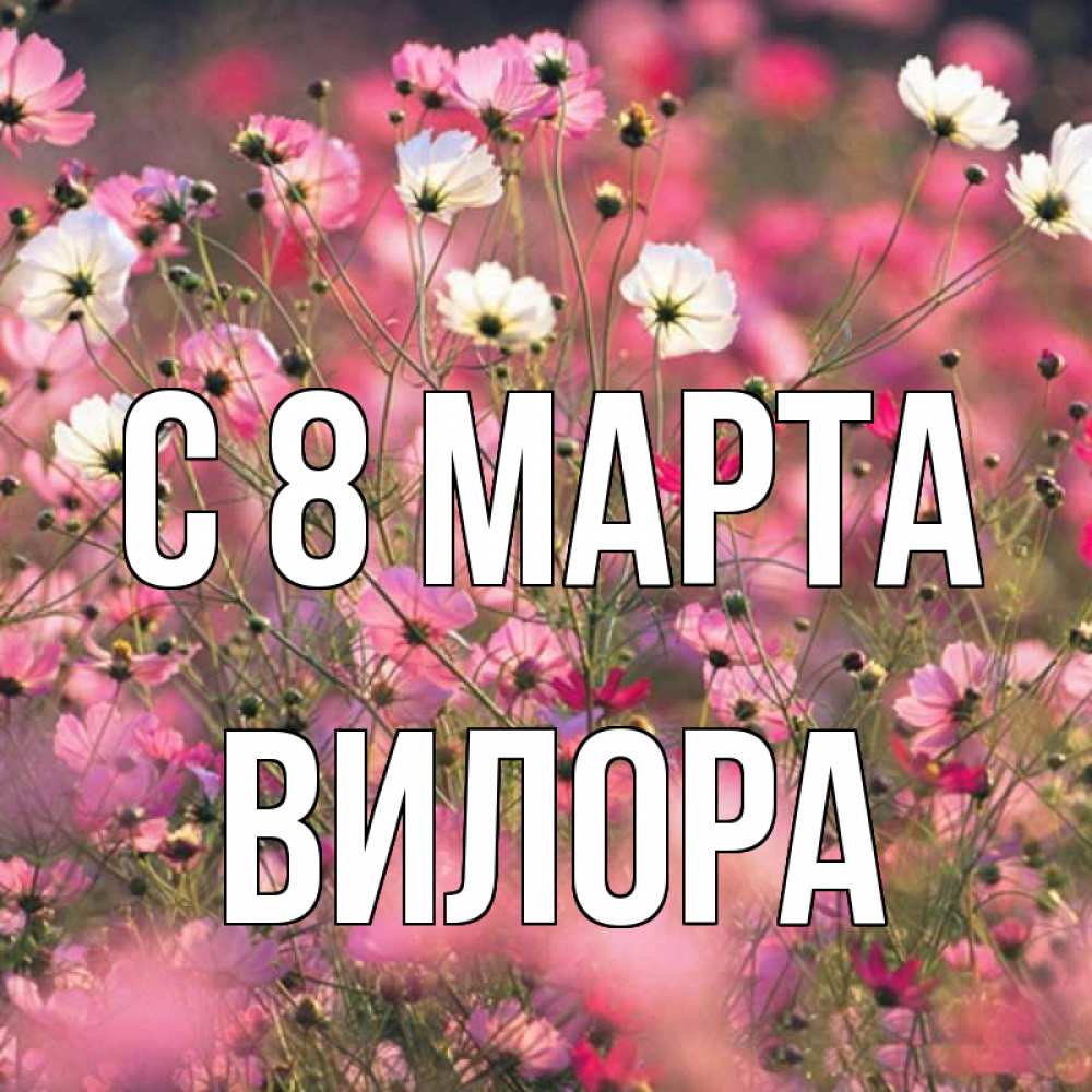 Открытка на каждый день с именем, Вилора С 8 марта красиво 1 Прикольная открытка с пожеланием онлайн скачать бесплатно 