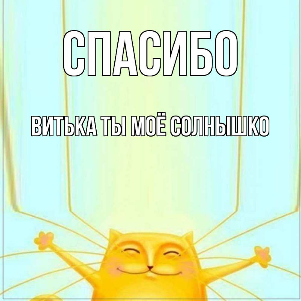 Открытка на каждый день с именем, Витька-ты-моё-солнышко Спасибо кот с усами благодарит Прикольная открытка с пожеланием онлайн скачать бесплатно 
