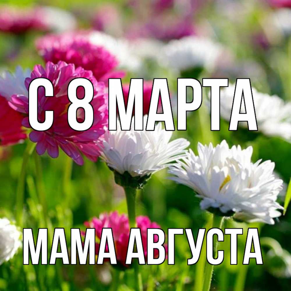 Открытка на каждый день с именем, Мама-Августа С 8 марта международный женский день 1 Прикольная открытка с пожеланием онлайн скачать бесплатно 