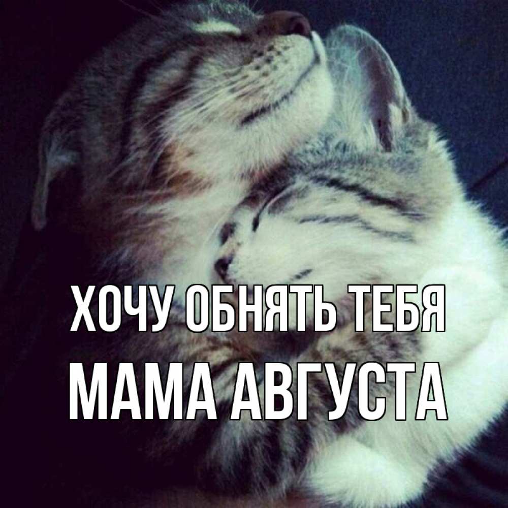 Открытка на каждый день с именем, Мама-Августа Хочу обнять тебя полосатики Прикольная открытка с пожеланием онлайн скачать бесплатно 