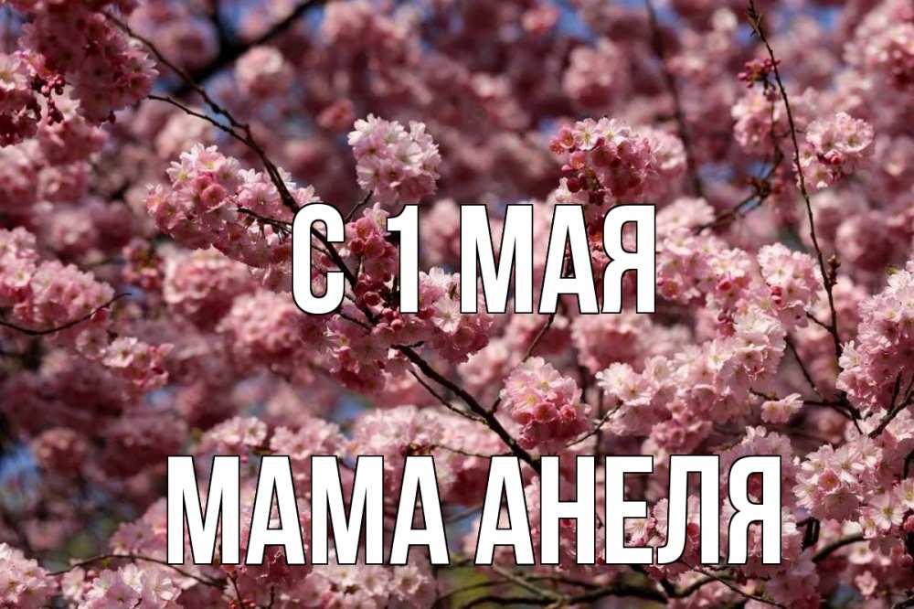 Открытка на каждый день с именем, Мама-Анеля С 1 мая С 1 мая Прикольная открытка с пожеланием онлайн скачать бесплатно 