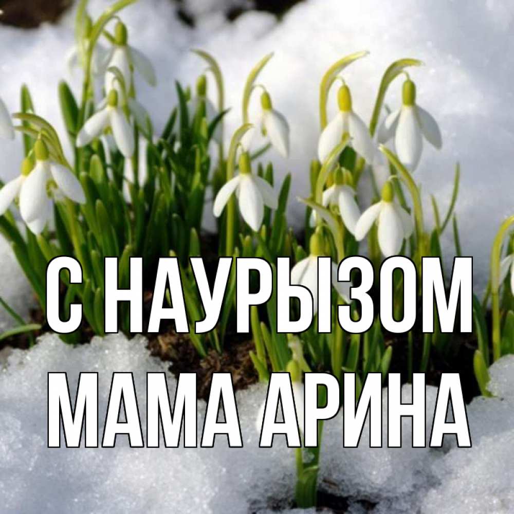 Открытка на каждый день с именем, Мама-Арина С наурызом цветы весенние Прикольная открытка с пожеланием онлайн скачать бесплатно 