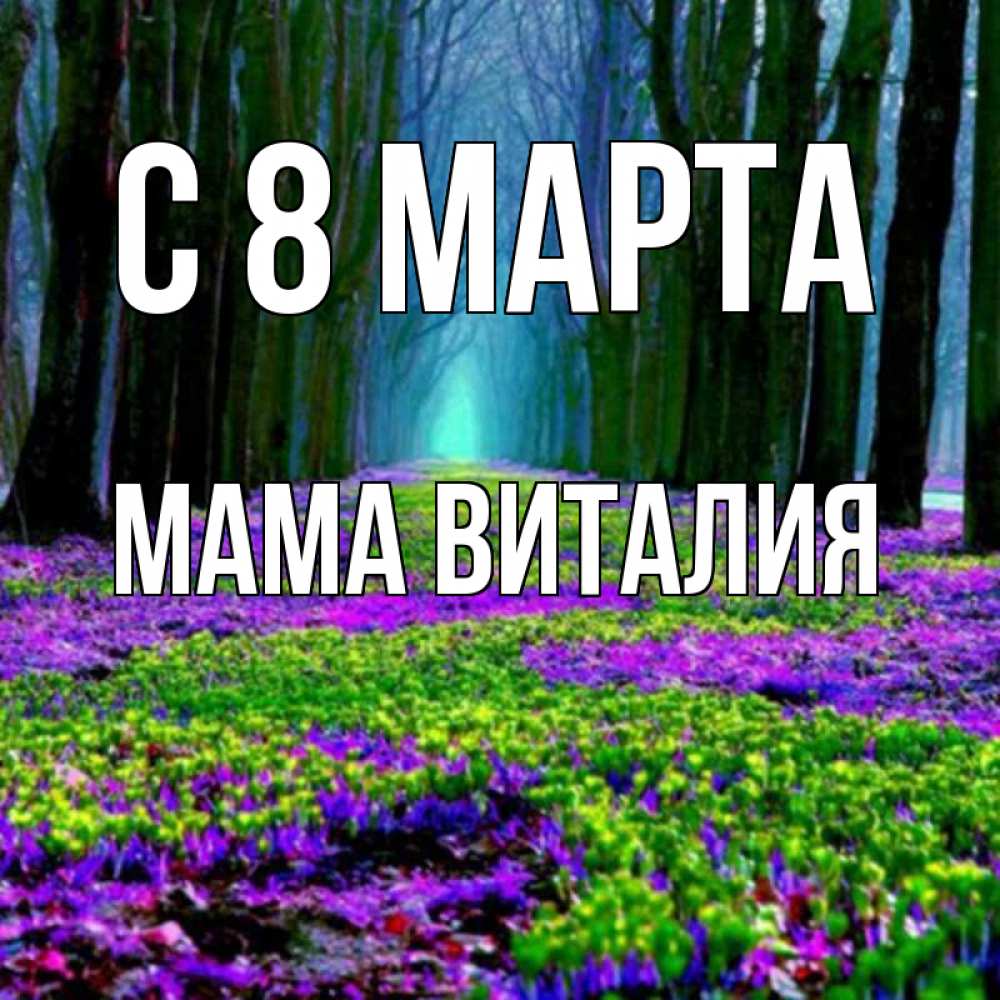 Открытка на каждый день с именем, Мама-Виталия С 8 марта фиолетовые цветы в лесу 1 Прикольная открытка с пожеланием онлайн скачать бесплатно 