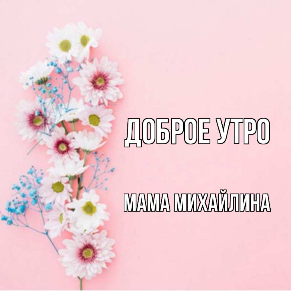 Открытка на каждый день с именем, Мама-Михайлина Доброе утро цветы с подписью Прикольная открытка с пожеланием онлайн скачать бесплатно 