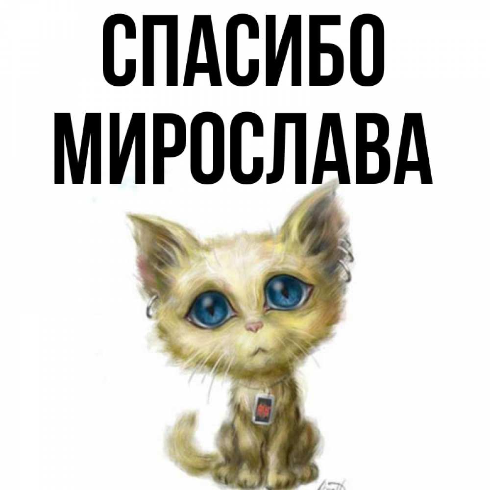 Открытка на каждый день с именем, Мирослава Спасибо рисованный кот благодарит вас Прикольная открытка с пожеланием онлайн скачать бесплатно 