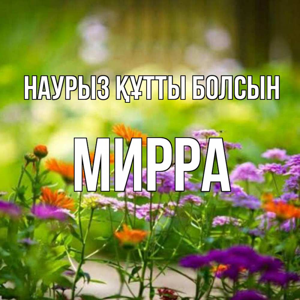 Открытка на каждый день с именем, Мирра Наурыз құтты болсын цветы Прикольная открытка с пожеланием онлайн скачать бесплатно 