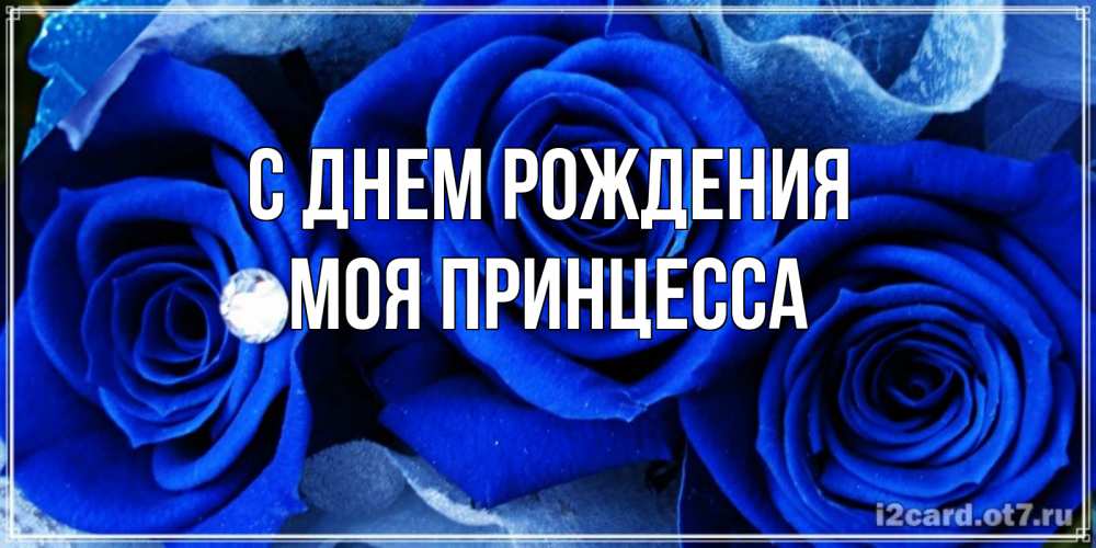 Открытка на каждый день с именем, Моя-Принцесса С днем рождения синие розы в росе Прикольная открытка с пожеланием онлайн скачать бесплатно 