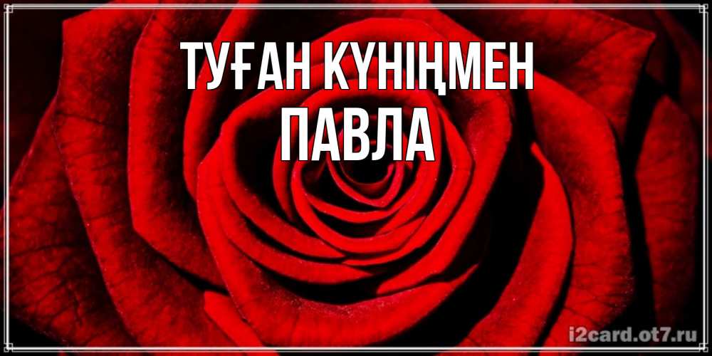 Открытка на каждый день с именем, Павла Туған күніңмен алая роза Прикольная открытка с пожеланием онлайн скачать бесплатно 