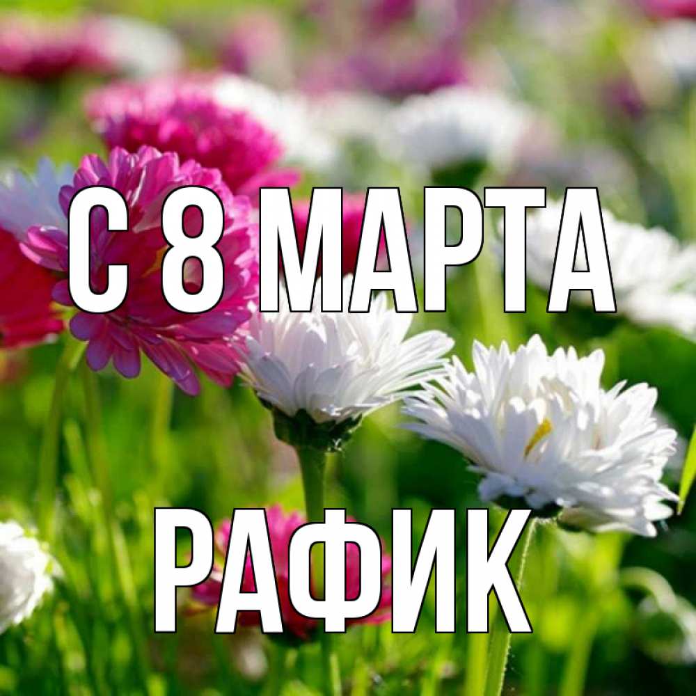 Открытка на каждый день с именем, Рафик С 8 МАРТА международный женский день 1 Прикольная открытка с пожеланием онлайн скачать бесплатно 