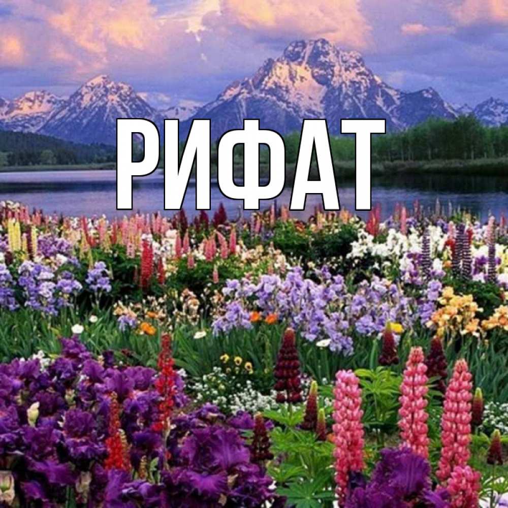 Открытка на каждый день с именем, Рифат Главная международный женский день Прикольная открытка с пожеланием онлайн скачать бесплатно 