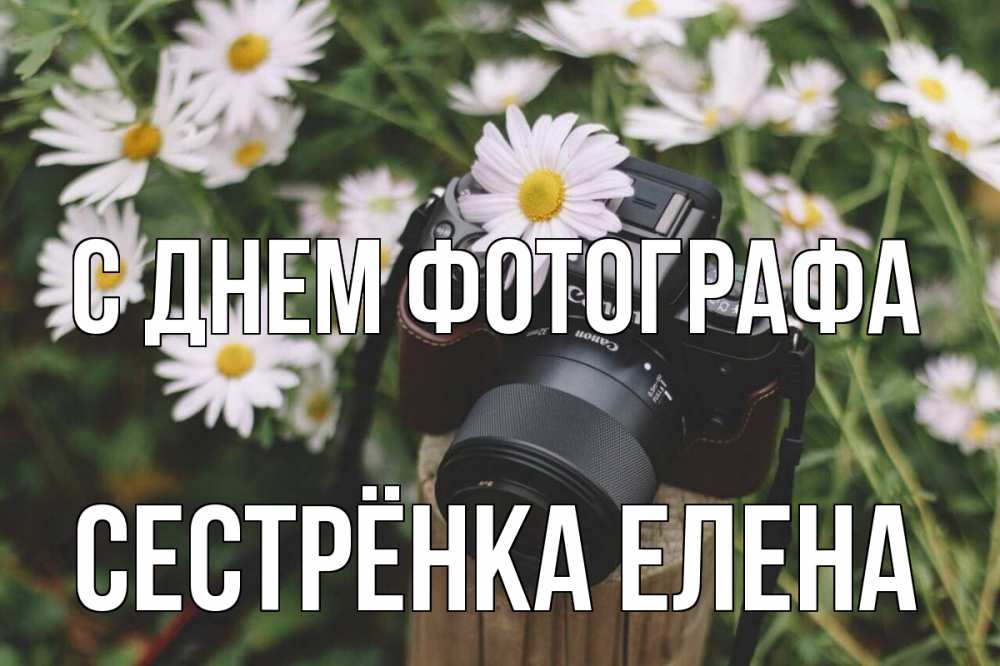 Открытка на каждый день с именем, Сестрёнка-Елена С днем фотографа с днем фотографа Прикольная открытка с пожеланием онлайн скачать бесплатно 