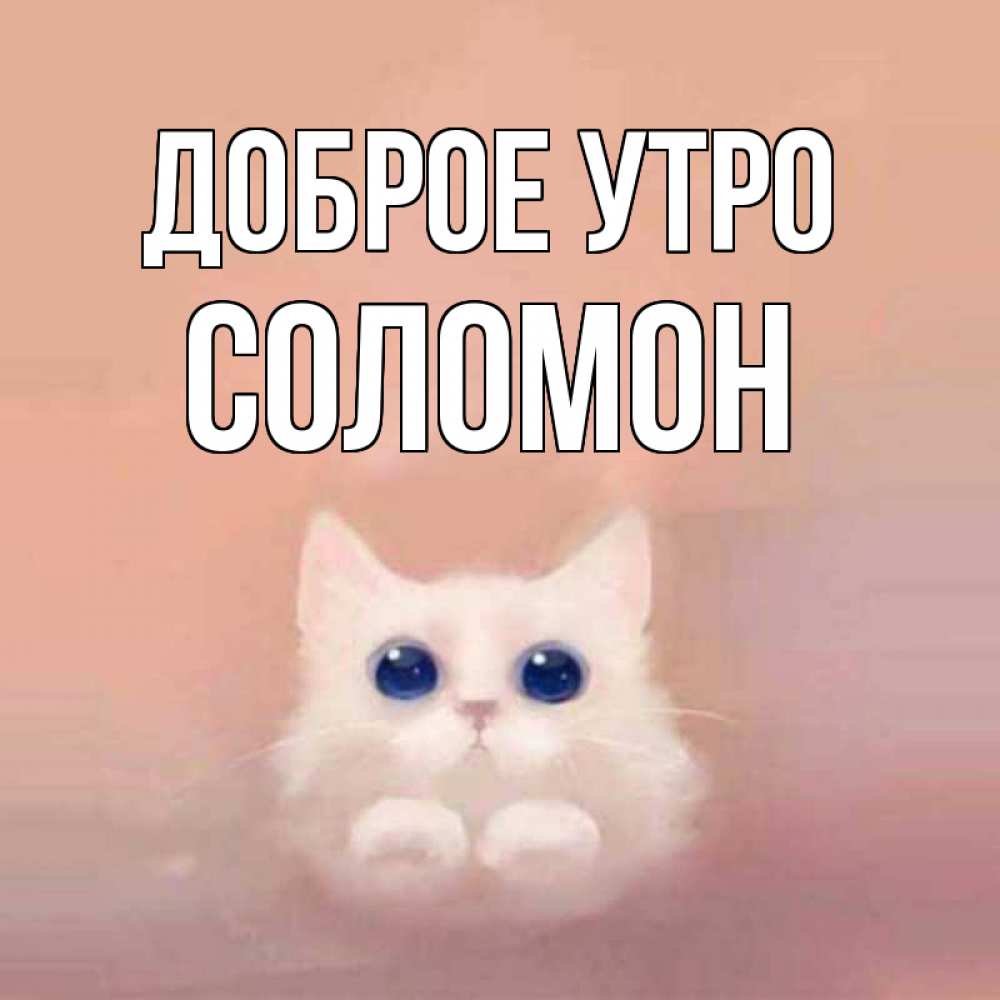 Открытка на каждый день с именем, Соломон Доброе утро на розовом фоне Прикольная открытка с пожеланием онлайн скачать бесплатно 