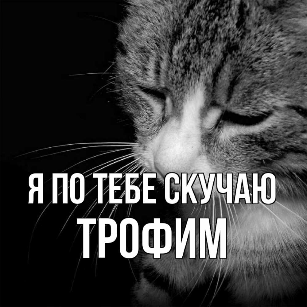 Открытка на каждый день с именем, Трофим Я по тебе скучаю мне скучно Прикольная открытка с пожеланием онлайн скачать бесплатно 