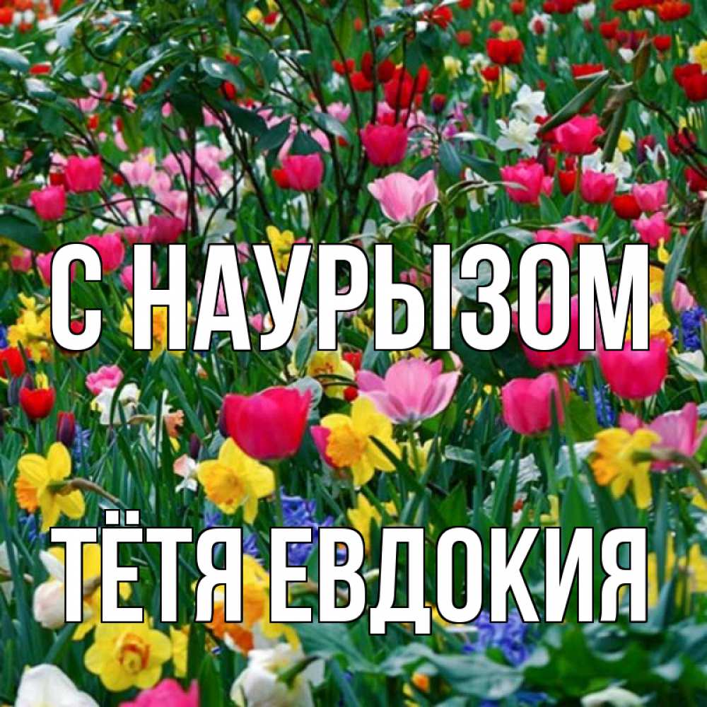 Открытка на каждый день с именем, Тётя-Евдокия С наурызом с наурызом праздником весны поздравления для женщины Прикольная открытка с пожеланием онлайн скачать бесплатно 
