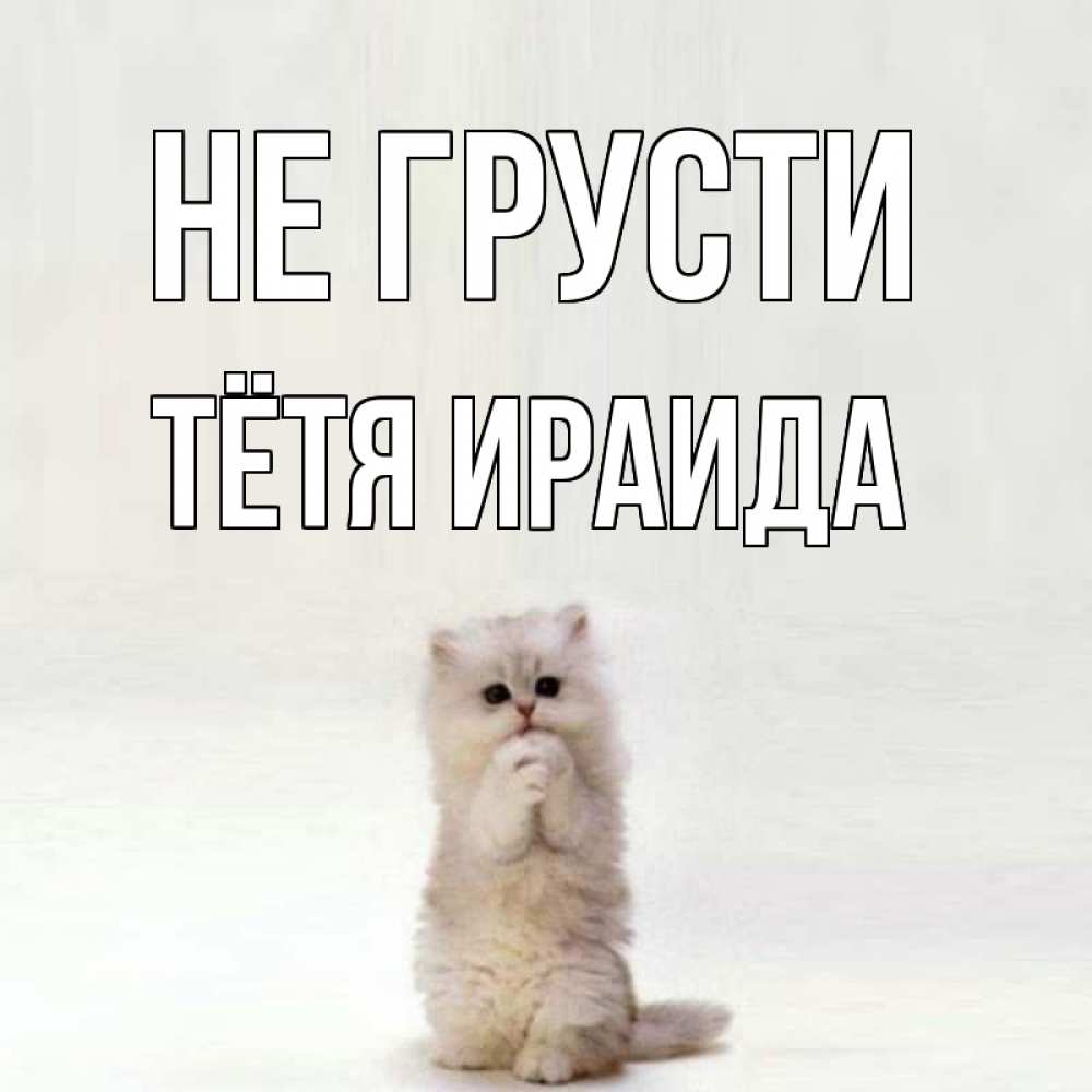 Открытка на каждый день с именем, Тётя-Ираида Не грусти грустный кот Прикольная открытка с пожеланием онлайн скачать бесплатно 