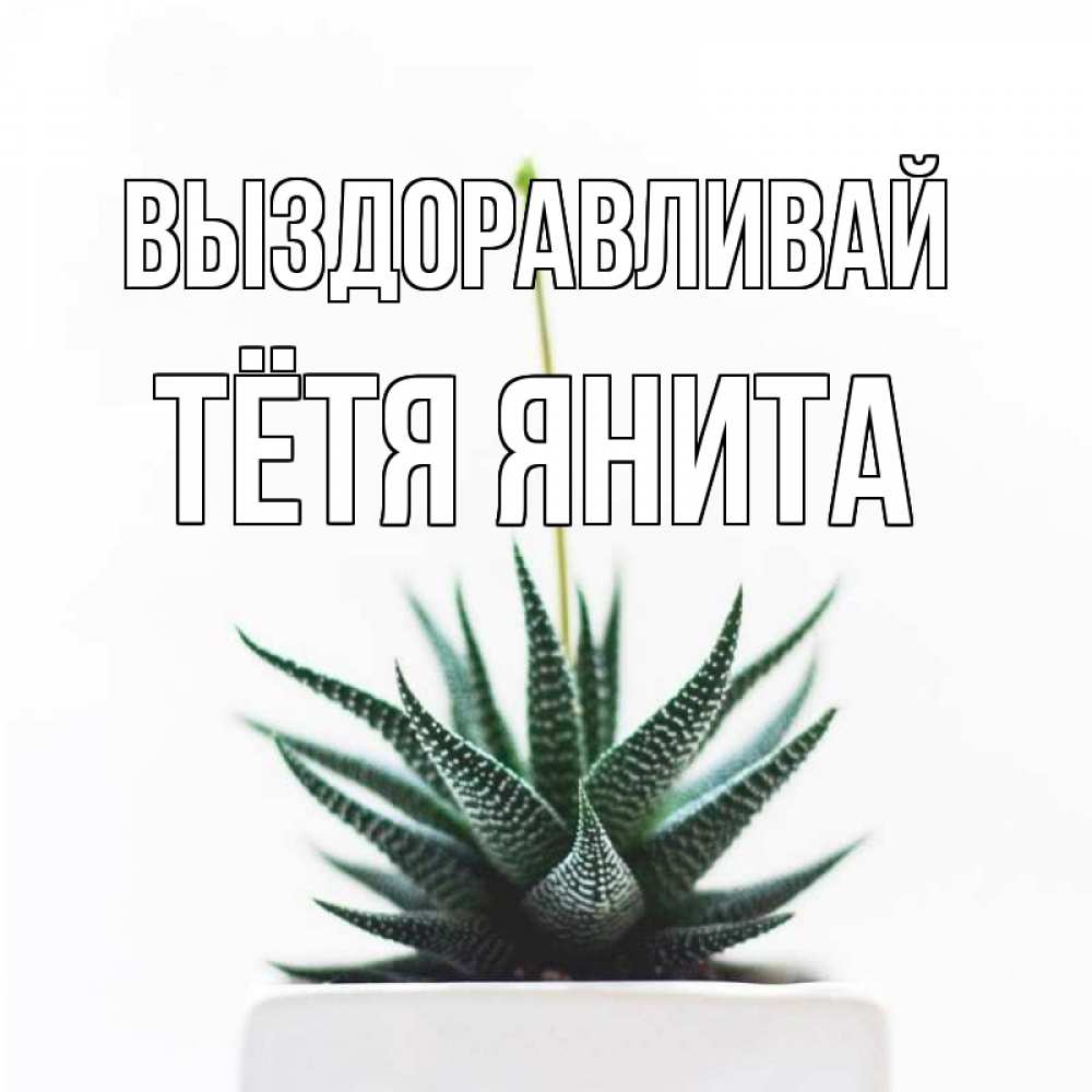 Открытка на каждый день с именем, Тётя-Янита Выздоравливай короче это непонятная колючка Прикольная открытка с пожеланием онлайн скачать бесплатно 