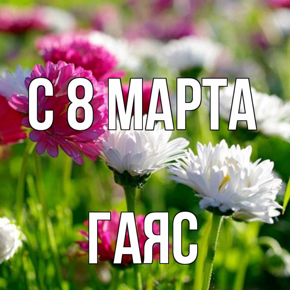 Открытка на каждый день с именем, Гаяс С 8 марта международный женский день 1 Прикольная открытка с пожеланием онлайн скачать бесплатно 