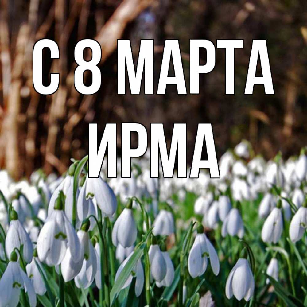 Открытка на каждый день с именем, Ирма С 8 марта с подснежниками 1 Прикольная открытка с пожеланием онлайн скачать бесплатно 