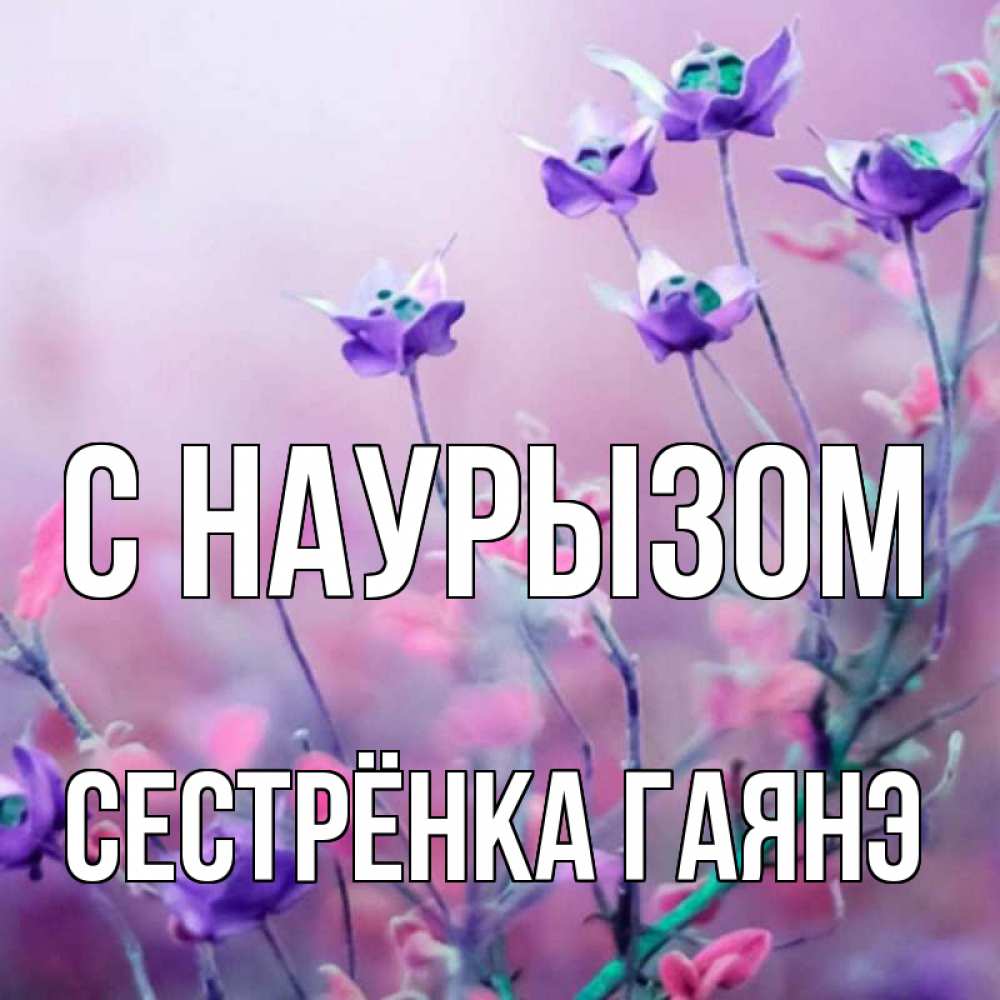 Открытка на каждый день с именем, Сестрёнка-Гаянэ С наурызом международный женский день 2 Прикольная открытка с пожеланием онлайн скачать бесплатно 