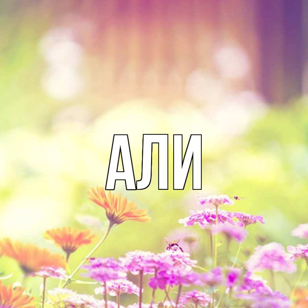 Имя аля открытки, днем