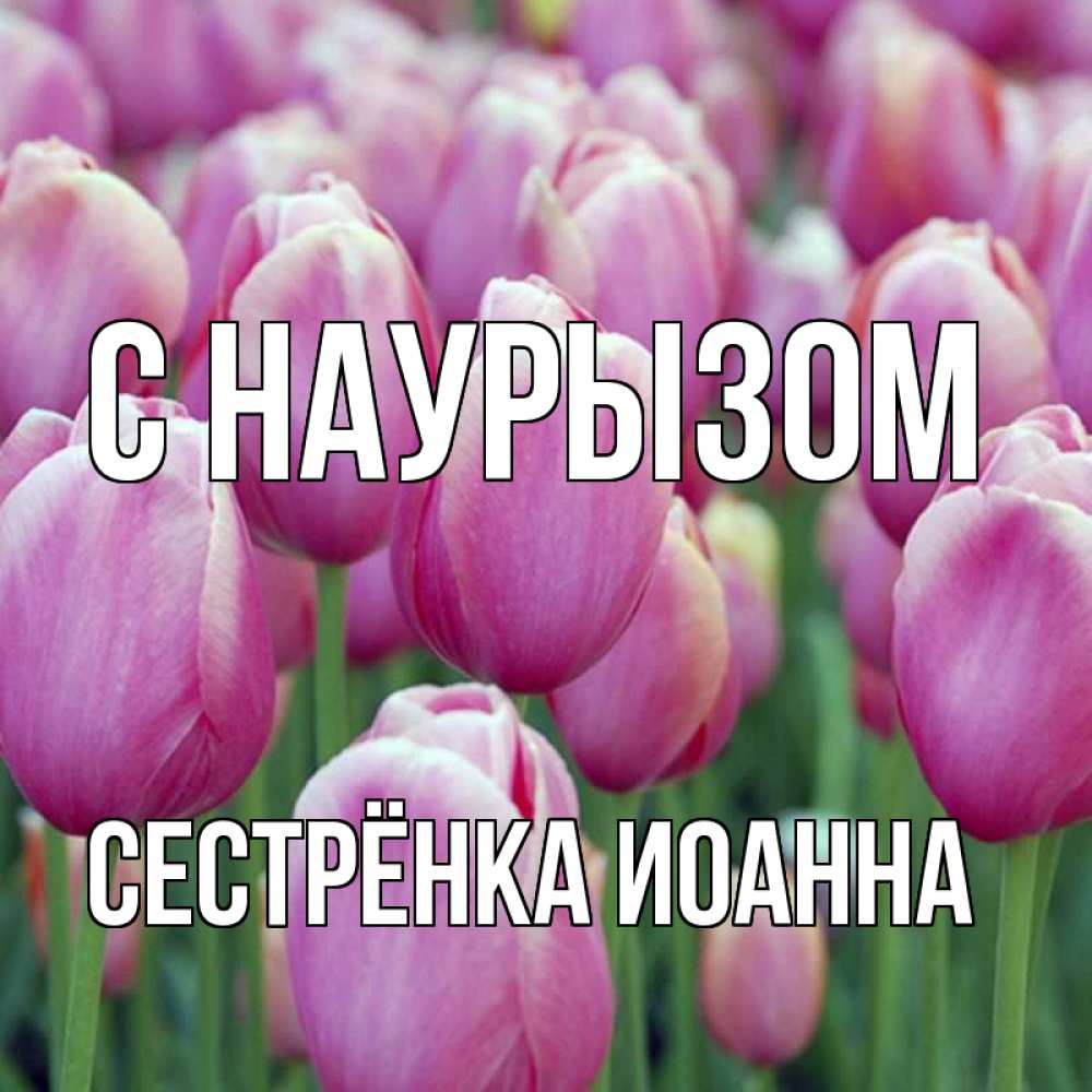 Открытка на каждый день с именем, Сестрёнка-Иоанна С наурызом праздник весны наурыз 69 Прикольная открытка с пожеланием онлайн скачать бесплатно 