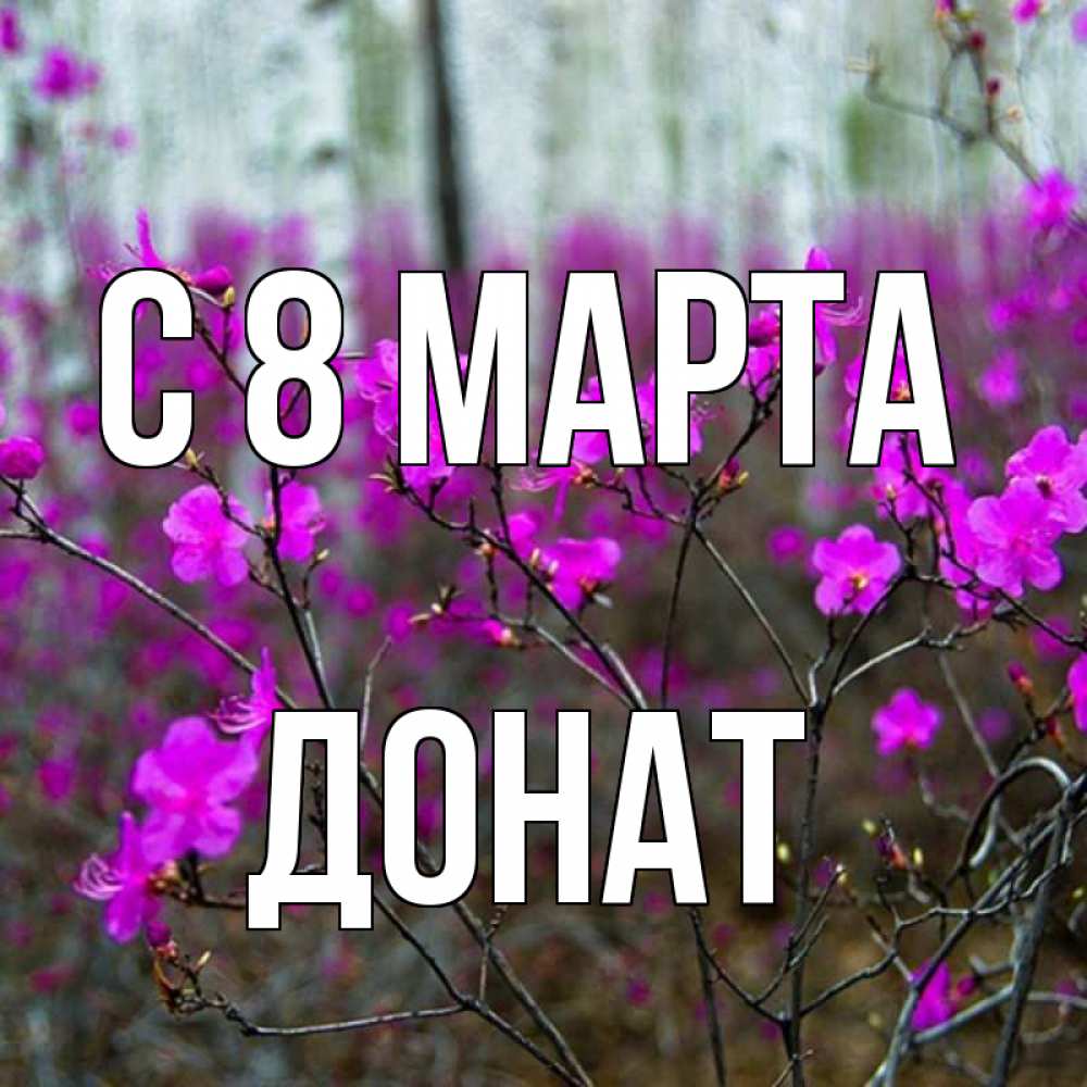 Открытка на каждый день с именем, Донат С 8 МАРТА дикие цветы Прикольная открытка с пожеланием онлайн скачать бесплатно 