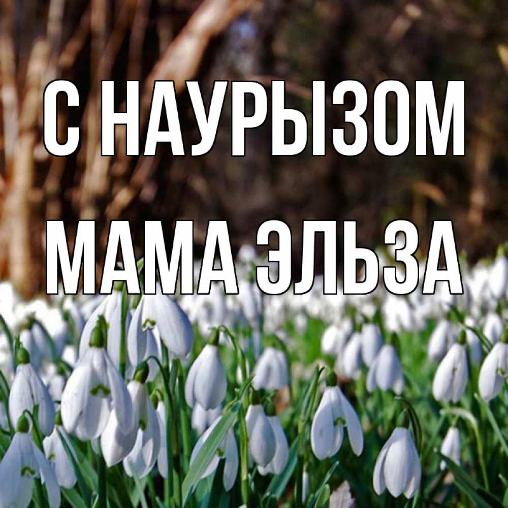 Открытка на каждый день с именем, Мама-Эльза С наурызом с подснежниками 1 Прикольная открытка с пожеланием онлайн скачать бесплатно 