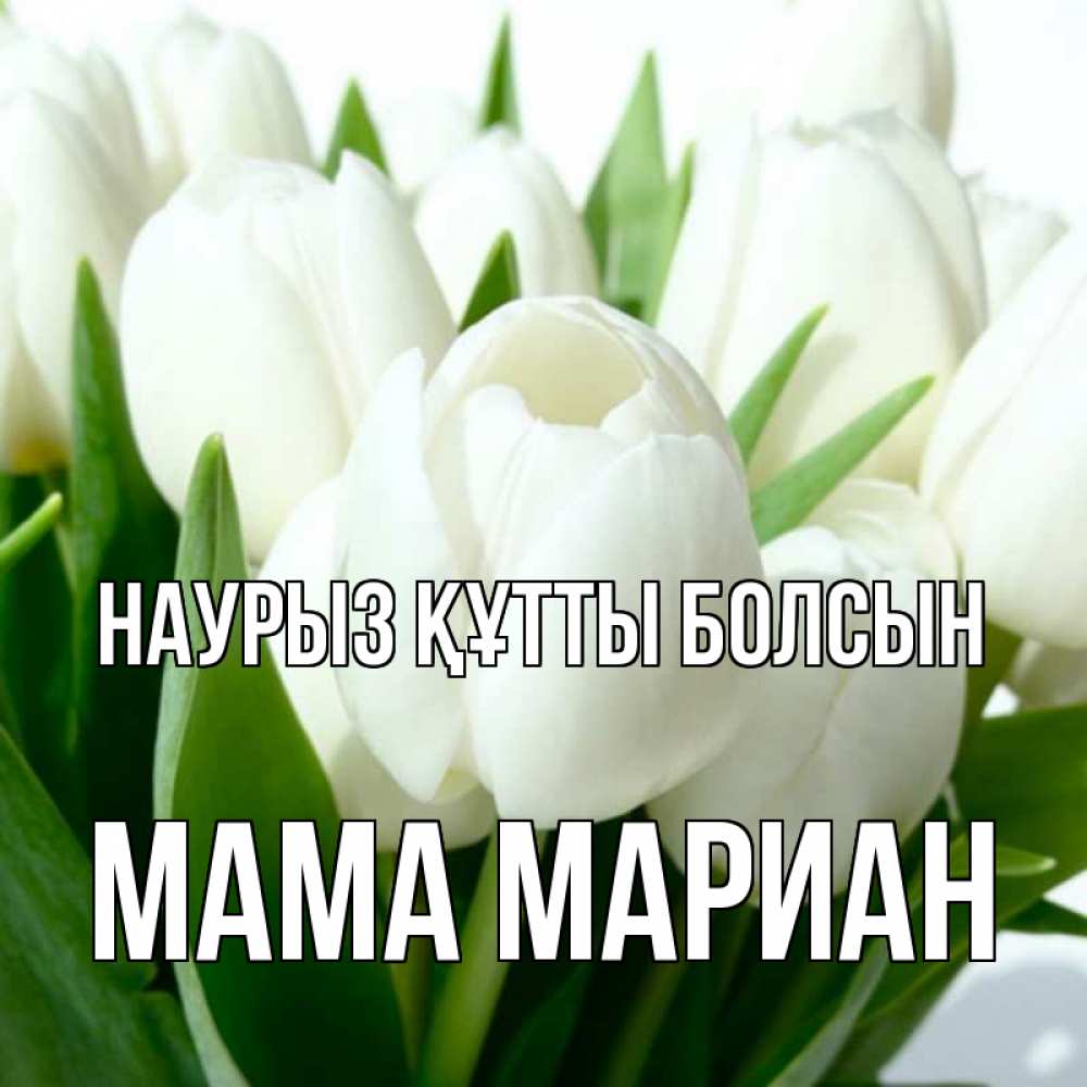 Открытка на каждый день с именем, Мама-Мариан Наурыз құтты болсын цветы Прикольная открытка с пожеланием онлайн скачать бесплатно 