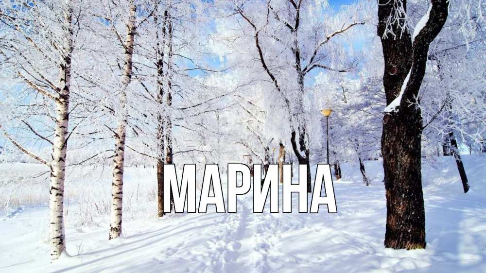 Открытка на каждый день с именем, Марина Главная зимний лес Прикольная открытка с пожеланием онлайн скачать бесплатно 