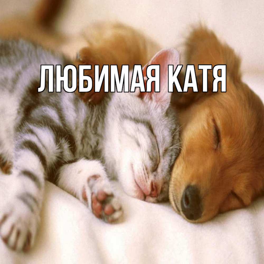 Открытка хочу новое. Открытка хочу новое