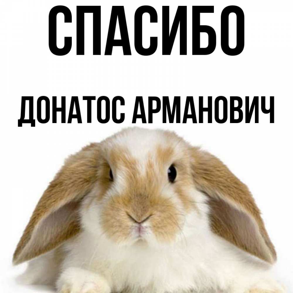 Открытка с именем, Донатос Арманович, Спасибо