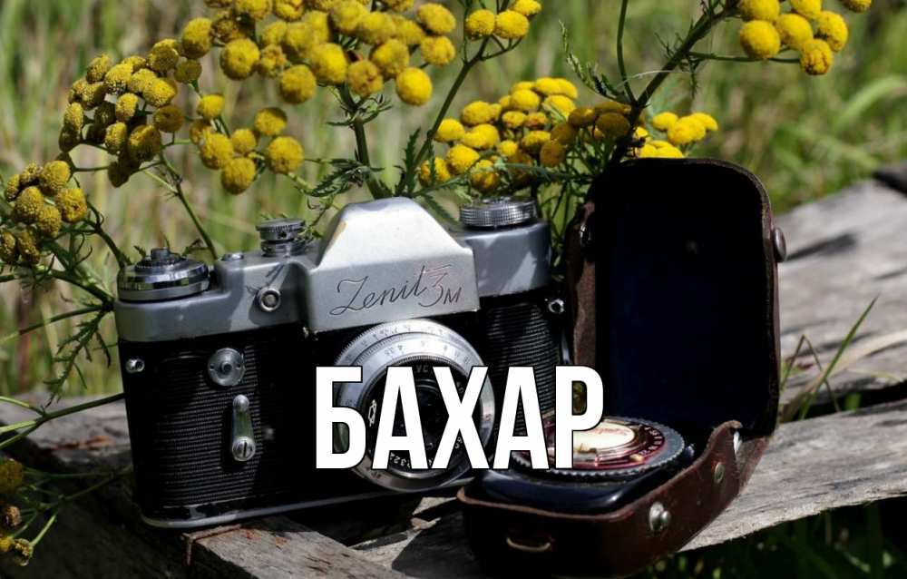 Открытка на каждый день с именем, Бахар Главная с днем фотографа Прикольная открытка с пожеланием онлайн скачать бесплатно 