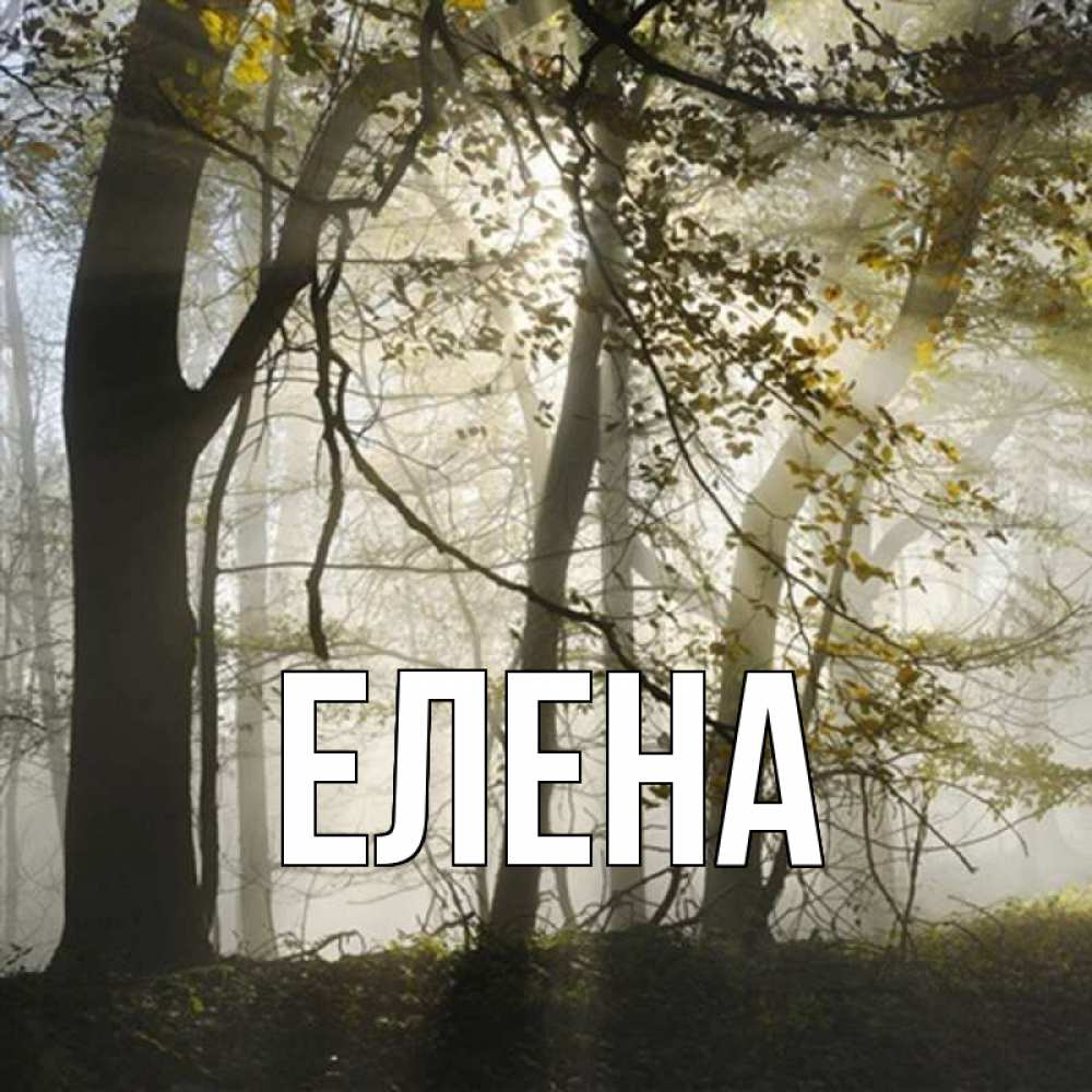 Открытка на каждый день с именем, Елена Главная грустно Прикольная открытка с пожеланием онлайн скачать бесплатно 