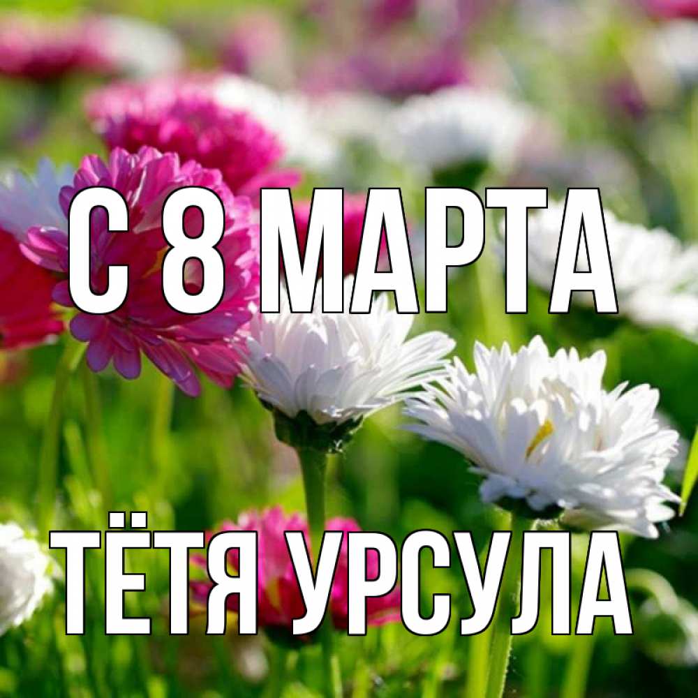 Открытка на каждый день с именем, Тётя-Урсула С 8 марта международный женский день 1 Прикольная открытка с пожеланием онлайн скачать бесплатно 