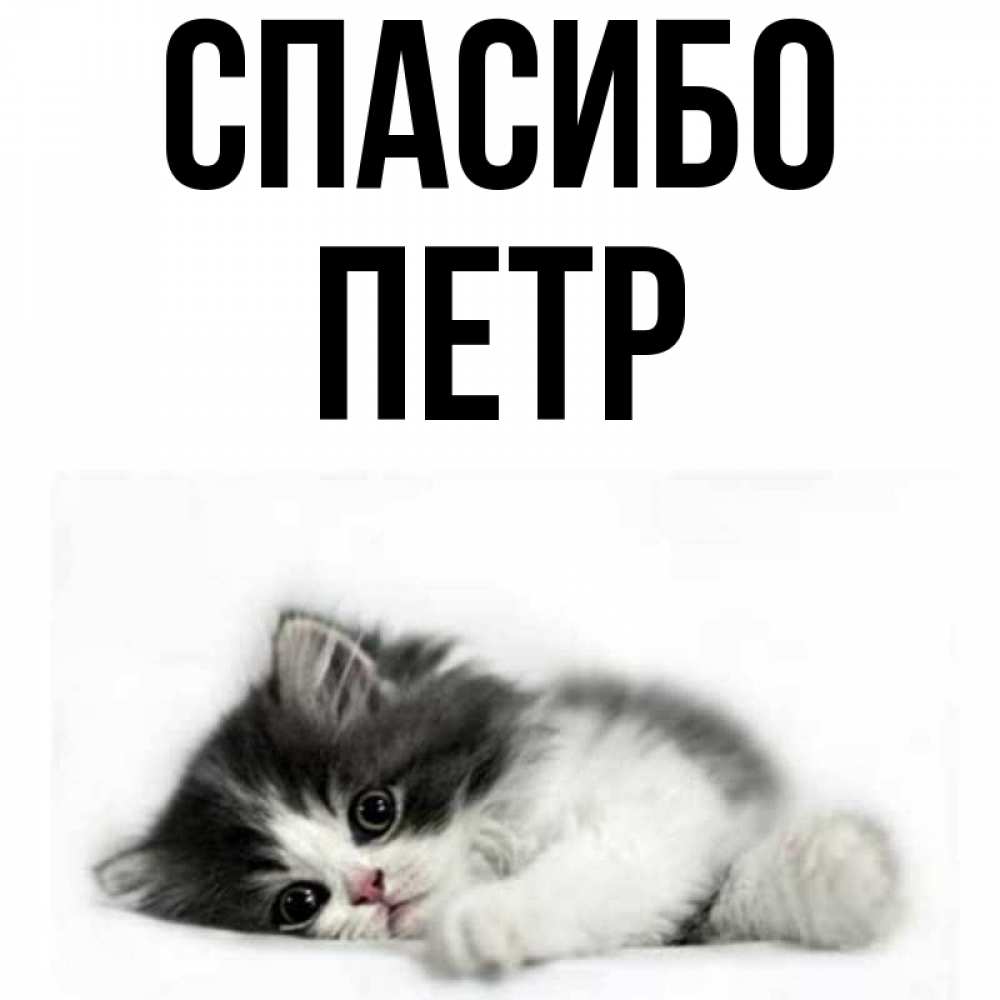 Картинки С Именем Петра