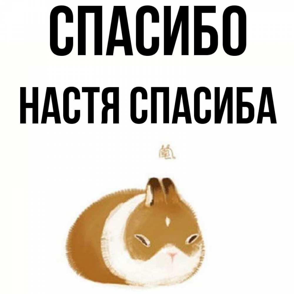 Спасибо настя картинки