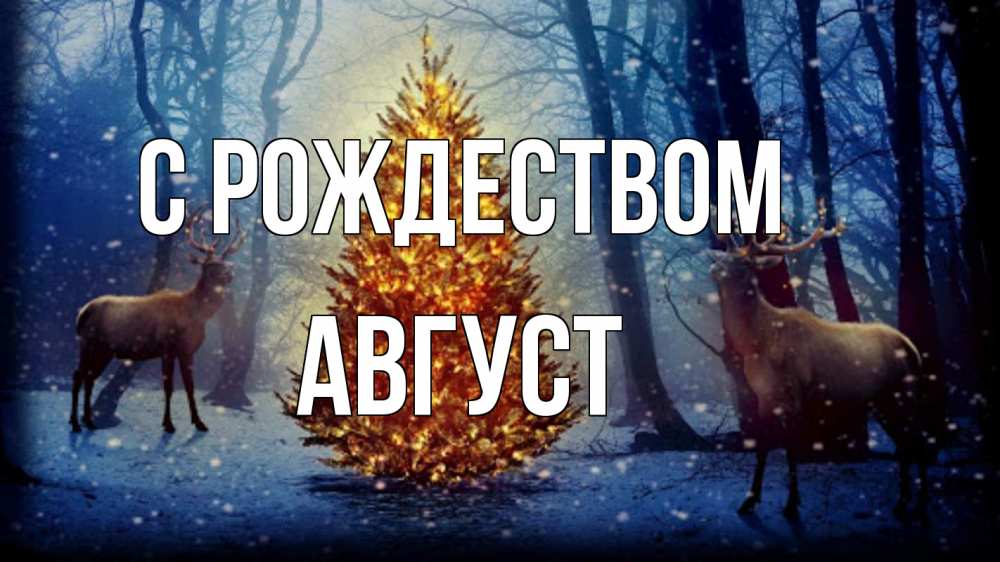 Открытка на каждый день с именем, Август С рождеством олени, новогодняя елка Прикольная открытка с пожеланием онлайн скачать бесплатно 